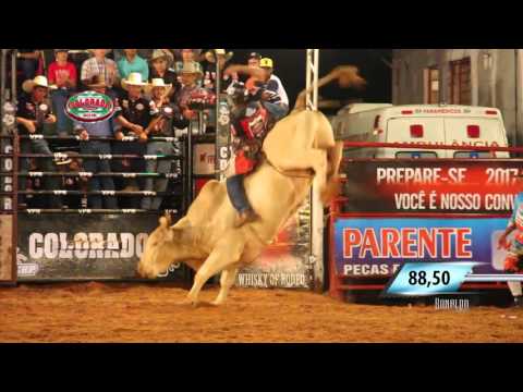 Rodeio de Colorado 2016 - QUINTA FEIRA / MELHORES MONTARIAS EM TOUROS