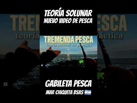 pescando en mar Chiquita BsAs Argentina 🇦🇷 #video #pelicula #fishing #mar #musica #redondos #23 #26