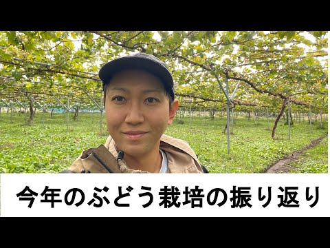 果樹を雹から守るにはどうすればよいでしょうか？収穫物を保存するための当社のシンプルなソリューション!  庭園