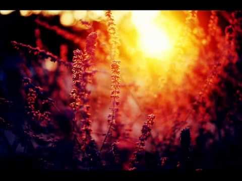 Drowned in November - Springtime I