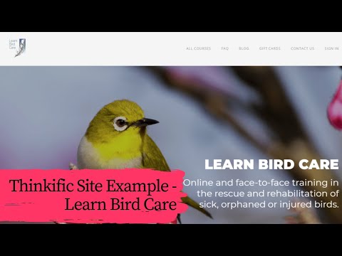 Thinkific Landing Page Example | Empire Spark Theme (transition to Site Builder)
