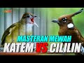 MASTERAN KAPAS TEMBAK VS CILILIN GACOR