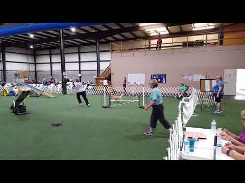 Parks Open Standard CISSC 080518