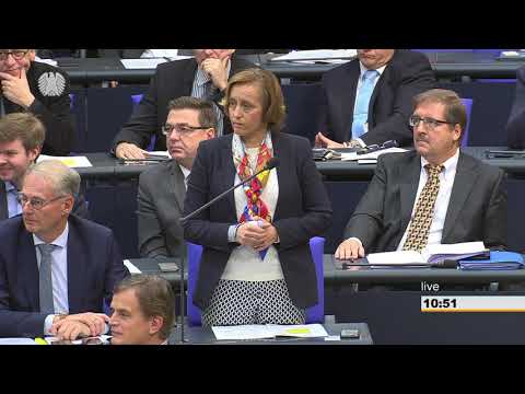 Stephan Harbarth: Global Compact for Migration [Bundestag 08.11.2018]