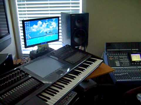 Focist Meets the Neko