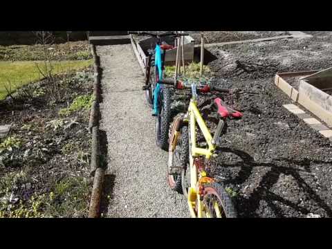 Centurion's E-MTB Jubiläumsmodell zum Ur-Ahn No Pogo Comp: CENTURION NO POGO E 2000.27+ (2017)