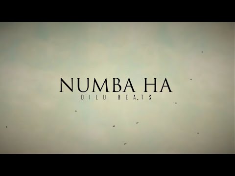 DILU Beats - Numba Ha (Suraganak Wilasa) - Official Lyrics Video