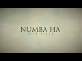 DILU Beats Numba Ha Suraganak Wilasa Official Lyrics Video