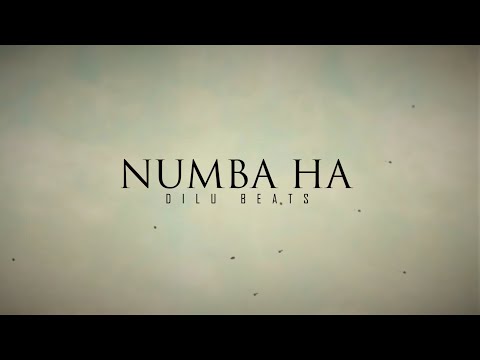DILU Beats - Numba Ha (Suraganak Wilasa) - Official Lyrics Video DILU Beats - Numba Ha (Suraganak Wilasa) - Official Lyrics Video