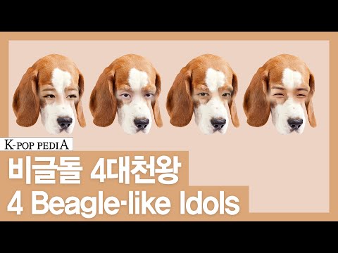 [K-POP PEDIA(케이팝피디아)] IDOL + BEAGLE = ? [ENG/JPN/CHN SUB]