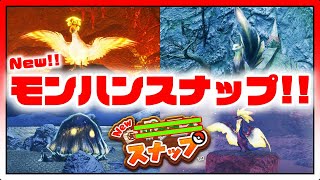 【New!! モンハンスナップ】ポケモンスナップ？ いや...モンハンスナップでしょ!!【モンハンライズ/MHRise】
