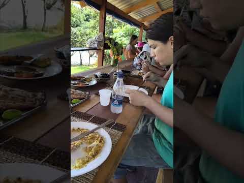 Dica de Almoço, Comunidade Tiririca, Novo Airão. #travel #amazonia