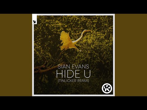 Hide U (Tinlicker Extended Remix)