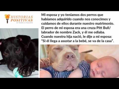 Le Dijo A Mujer “Si Ese Perro Hace Algo A Mi Hija Lo Mato”  Sucedió Que Dejó A Todos En Lágrimas