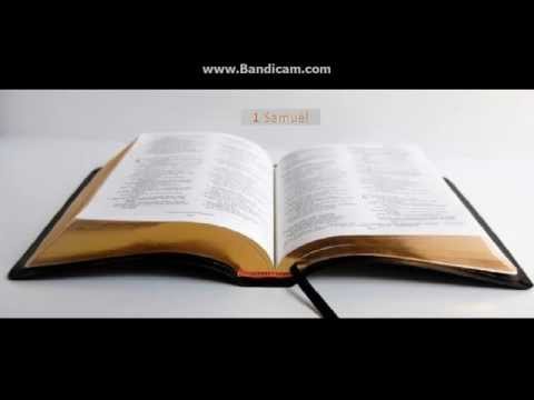 Biblia la rand: 1 Samuel capitolul 14