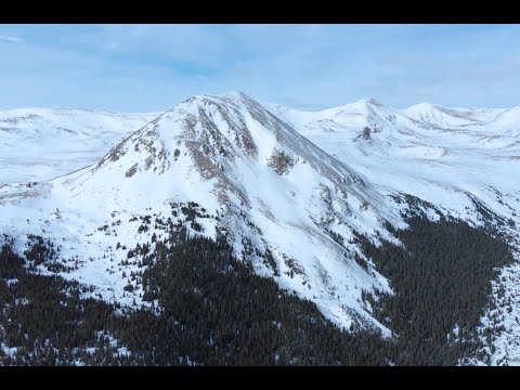 Moonflower Media video.