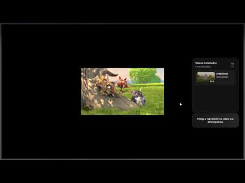 Item video thumbnail