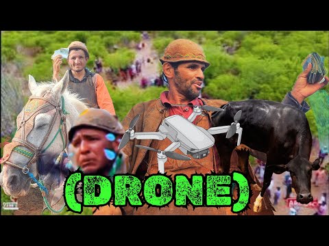 COMPLETE CAREER OF THE LITTLE COW JURITIZINHA ABELHA 🐝 • UNDERWEAR AND CAITINHA (DRONE) 🚁🌵