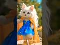 Cute Cat Funny Dance Funny Catvideos Cats Catshorts Ai