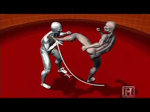 Human Weapon  Savate