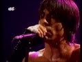 Red Hot Chili Peppers - I Could Die For You - Live at Madrid