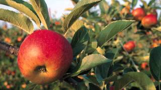 I&#39;m Beautiful (Brinsley Evans Back To The Scene Of The Crime Mix) ~ Bette Midler