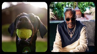 Petco The Making of our Snoop Dogg commercial