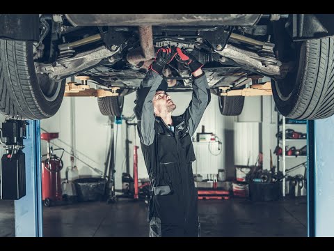 Autolizak Sp. z o.o. - video