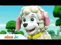 Nursery Rhyme Songs For Kids Stay Home WithMe Music Nick Jr
