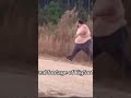 Bigfoot Spotted Memes Shorts