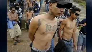 MS-13 - Root Of All Evil
