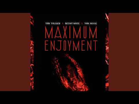 Maximum Enjoyment (feat. Beehot & Toby Shang)