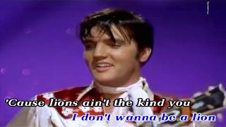 Let Me Be Your Teddy Bear - Elvis Presley [Official MV with Lyrics in HQ]