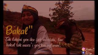 Download lagu Pancen tak pertahanke ne mbetahi😎😎 mp3