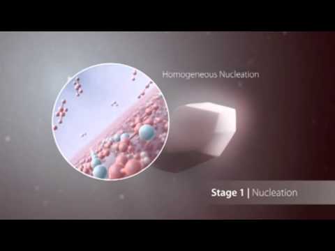 Kidney Stones in the Process of Formation