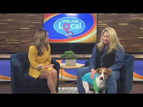 National Dress Your Pet Day with Desoto Parish Animal Shelter