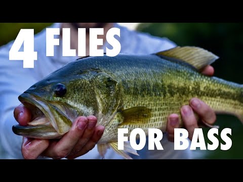 Top 4 Bass Flies: Fly-Fishing for Bass