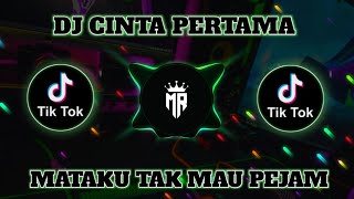 Download lagu DJ AWALNYA PANDANG PANDANGAN HABIS ITU SENYUM SENYUMAN - DJ CINTA PERTAMA ||  VIRAL TIKTOK mp3