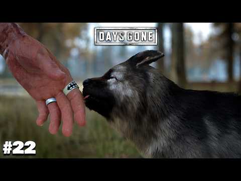 Best Zombie Game - Days Gone Walkthrough Gameplay [HINDI] #part22 #daysgone