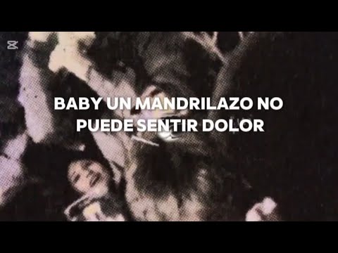 PIKETTE23 - FALSAS CARICIAS (AUDIO OFICIAL)