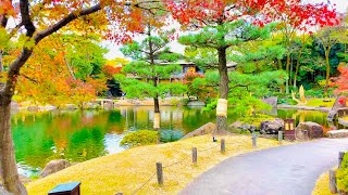 4K Japan Walk Beautiful Japanese Garden in Nagoya Koi Fish Nagoya Winter 2020 Mp4 3GP & Mp3