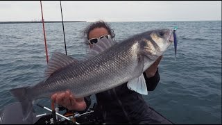 Miniature de la vidéo Gros bar au leurre Megabass Sling Shad 5