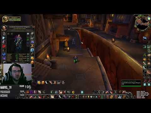 Darkmantle/Rank 10 Set for PvP! GEAR/Rogue CHARACTER UPDATE SoM