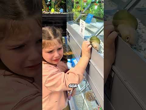 L’uccellino perduto è riapparso davanti a lei 🥹🐦#shortvideo