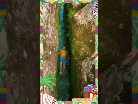 😱 ¿¿Sabían de ESTE LUGAR?? Canoas del Jagua ❤️#viralshorts #shorts #colombia