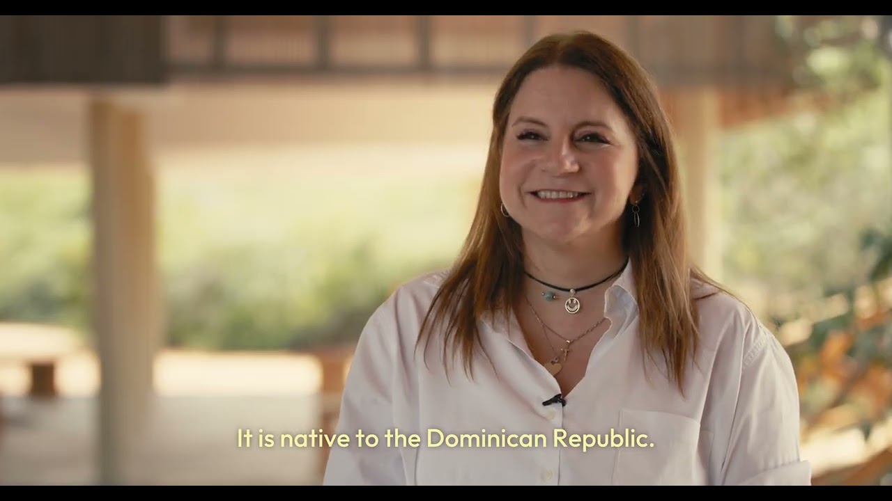 The Rose and the Manatee: Fondo MARENA, Dominican Republic | CBF NCTF Stories