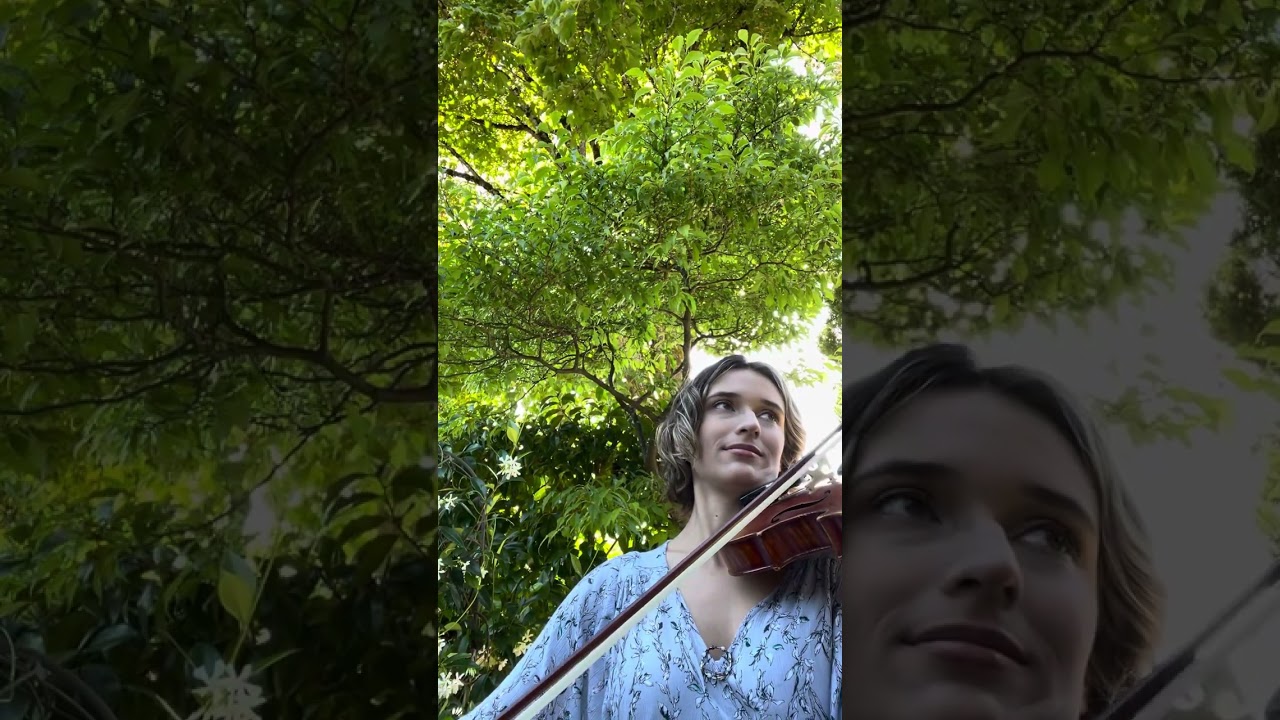 Promotional video thumbnail 4 for Dana Wenzel, Violinist