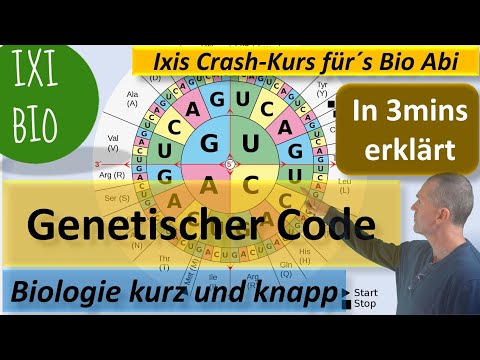 Genetic code explained in just 3 minutes - Biology in a nutshell - Ixis crash course for the Biol...