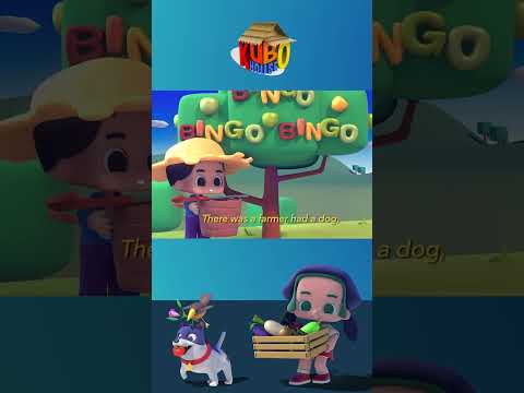 BINGO #shorts | Nursery Rhymes & Kid Songs (Kubo House)