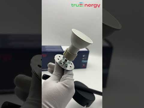 Миниатюра изображения товара Спот Truenergy 21460